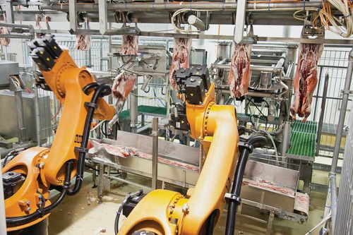 肉类加工厂疫情频繁爆发,美国食品巨头加快应用机器人取代工人